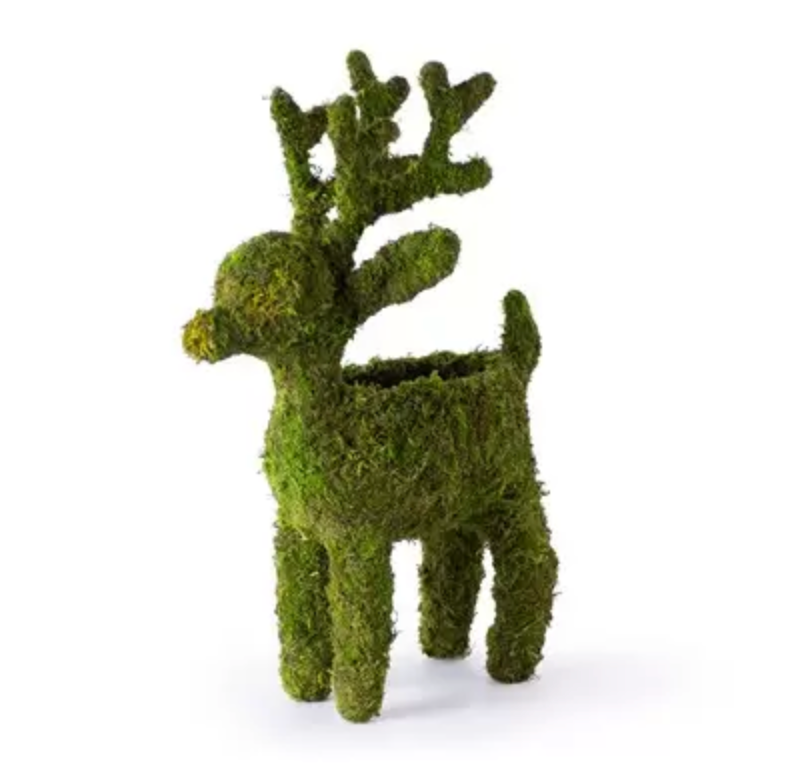 REINDEER MOSS TOPIARY