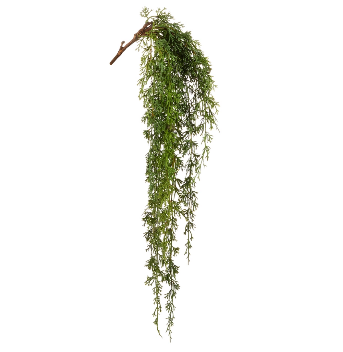 30" HANGING CEDAR BRANCH