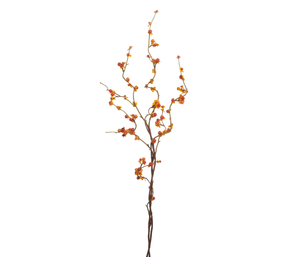 42" BITTERSWEET BERRY SPRAY