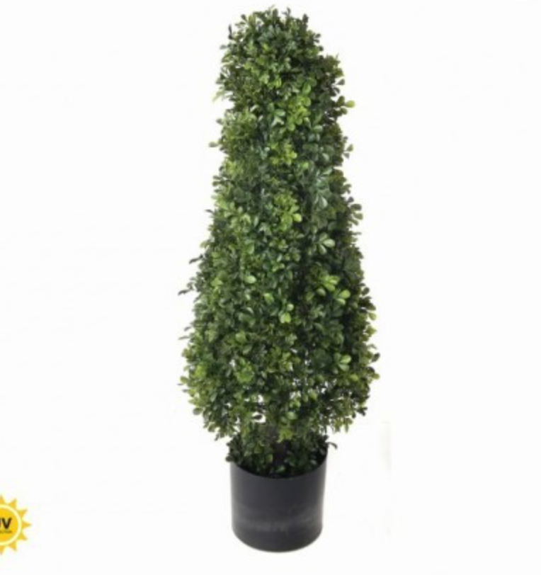 UV ENGLISH BOXWOOD CONE TOPIARY