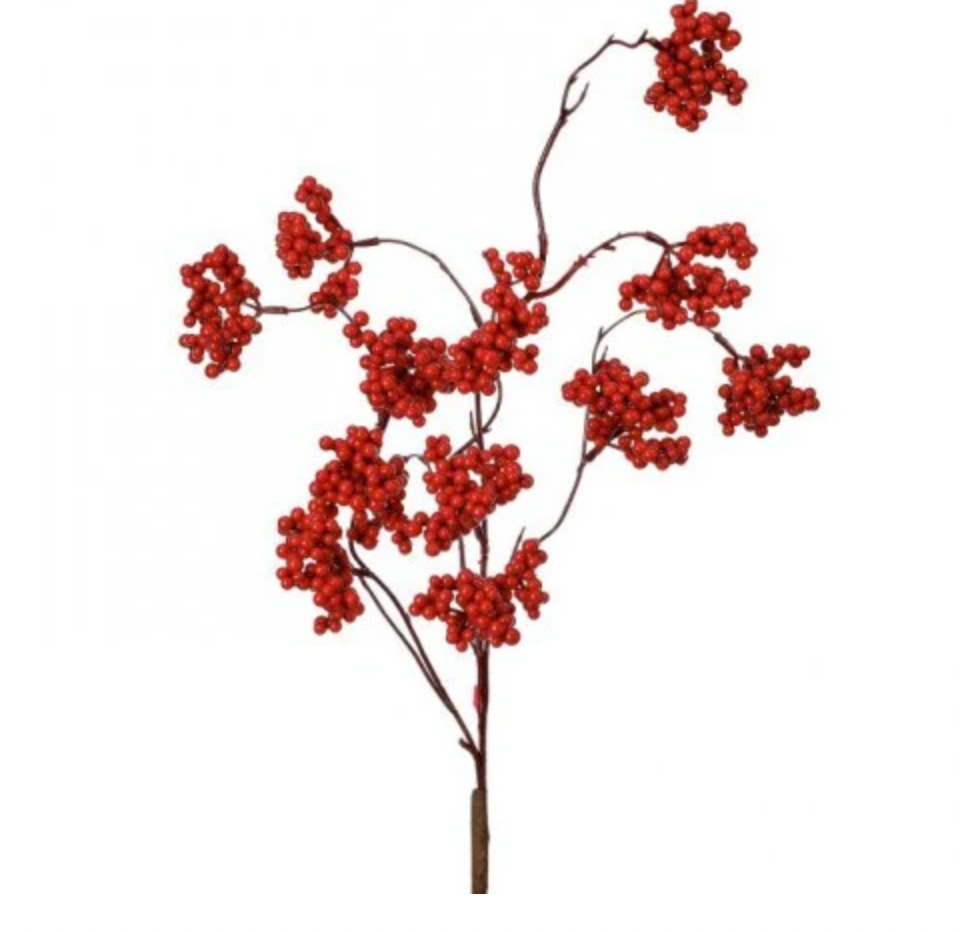 27" WP WILD FOREST BERRY SPRAY