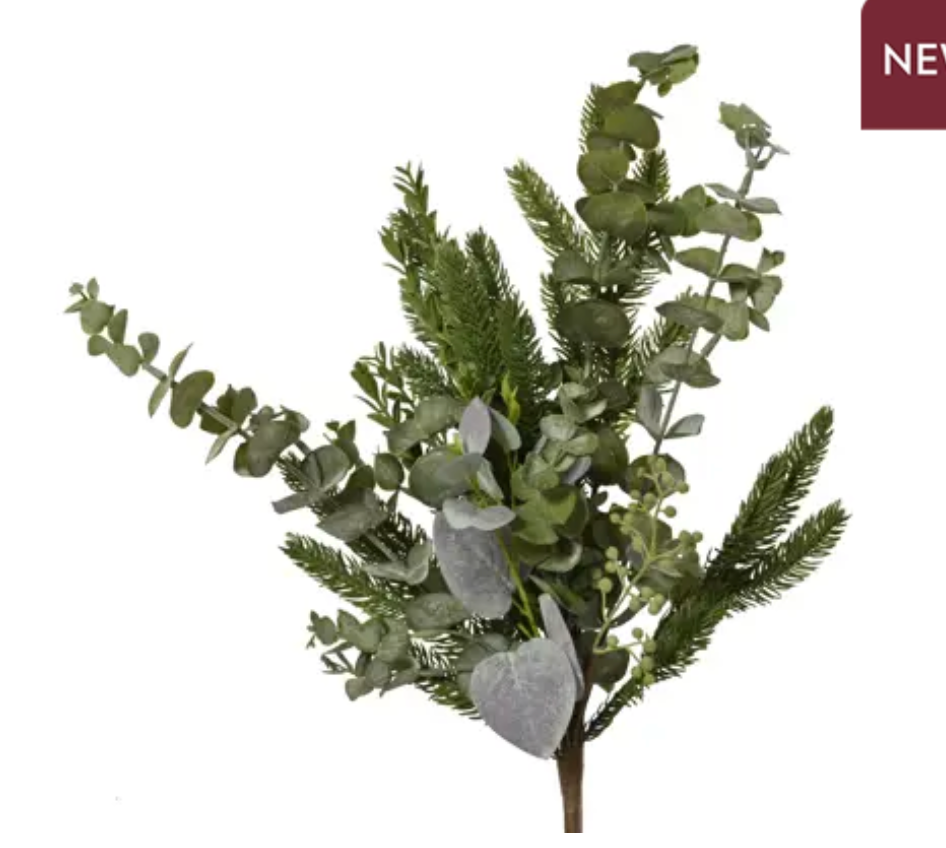 EUCALYPTUS SPRAY INDOOR