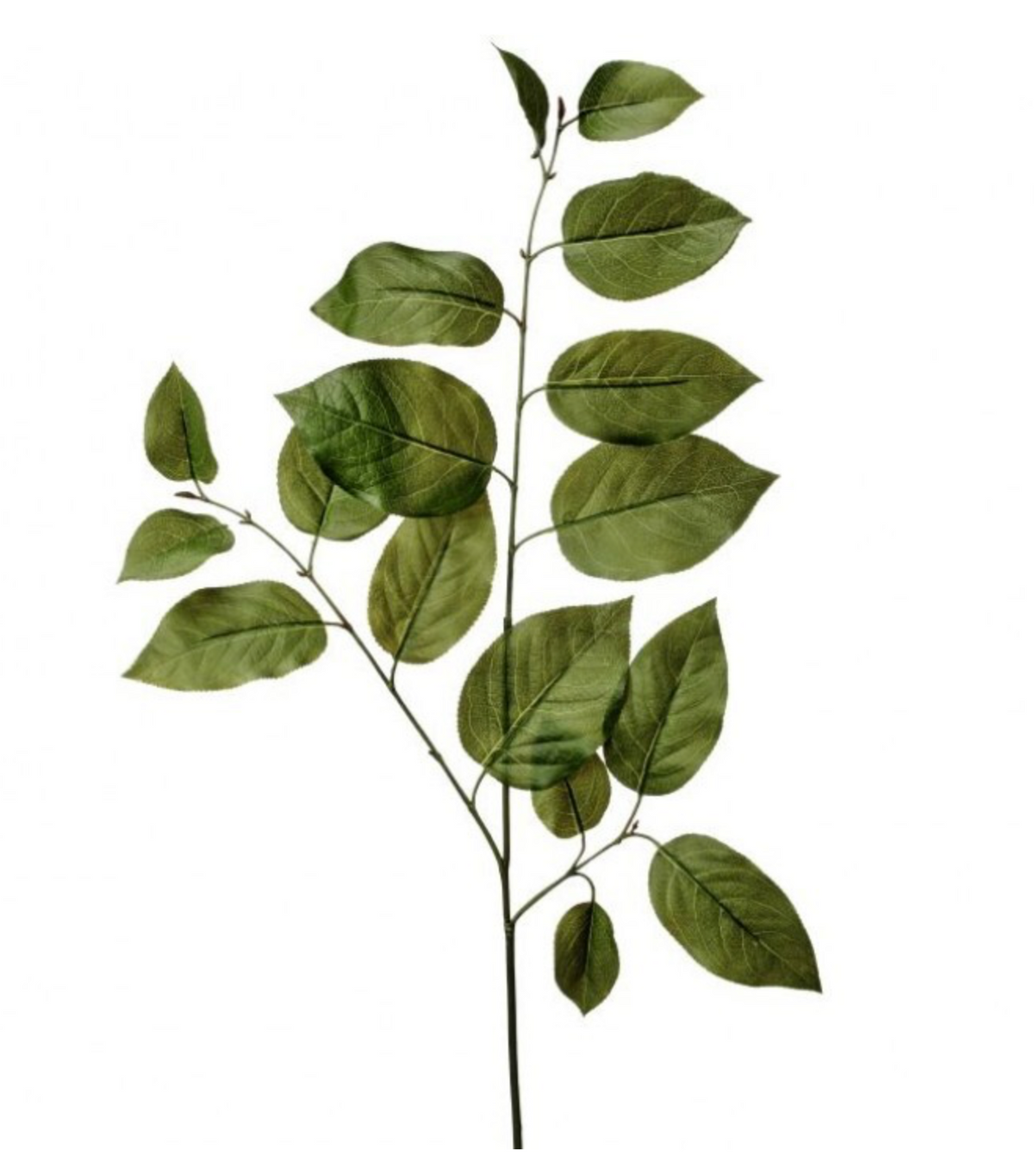 FAUX TRIPLE SALAL LEAF SPRAY 31"