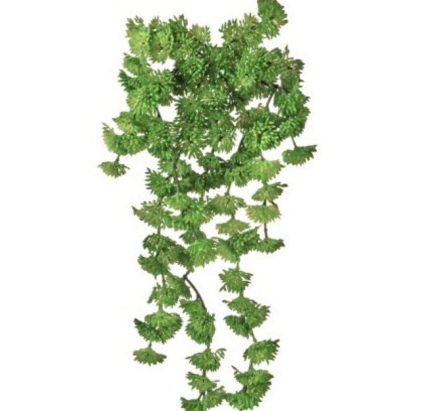 10" HANGING SEDUM VINE PICK