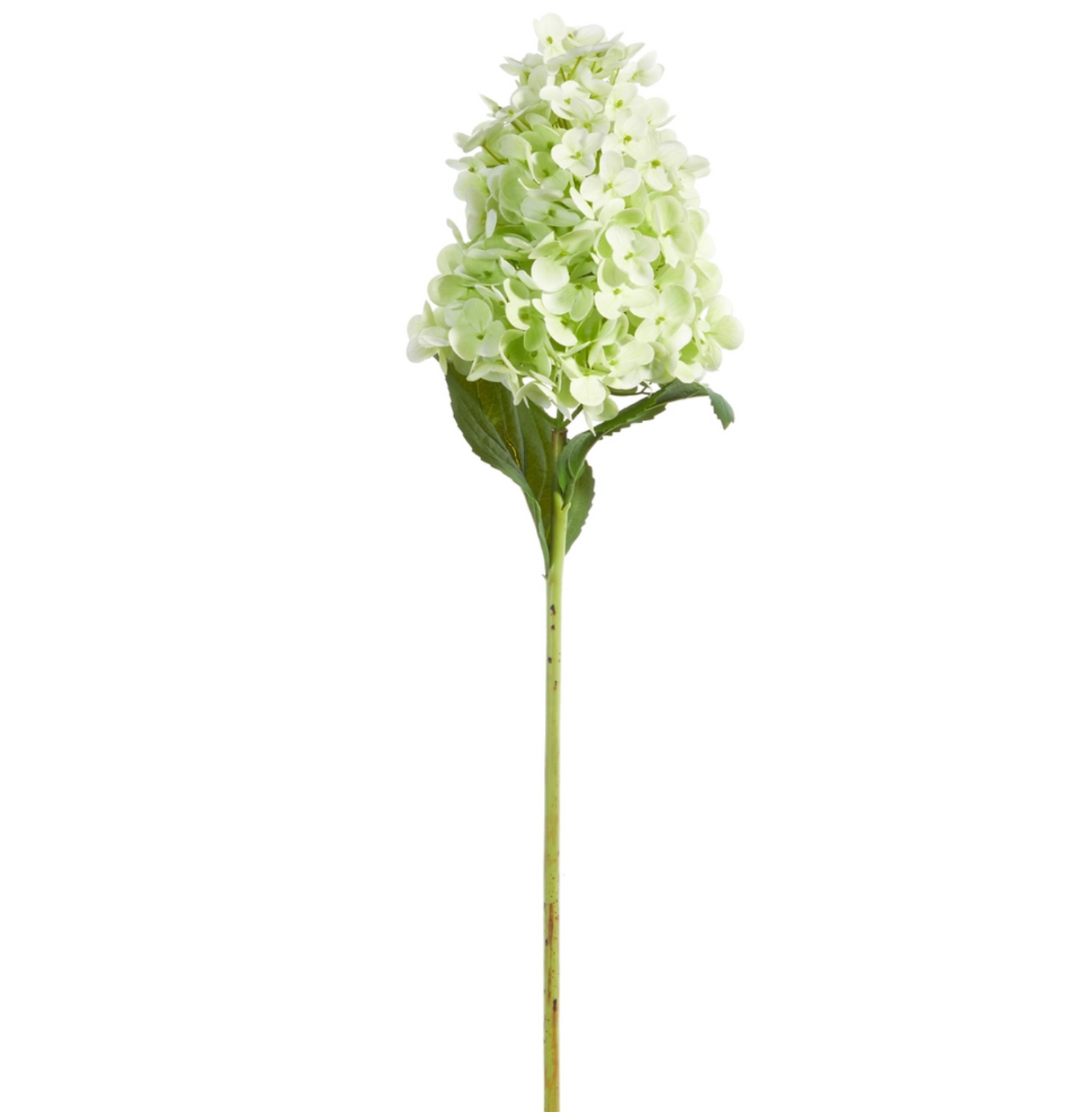 29” GREEN HYDRANGEA STEM