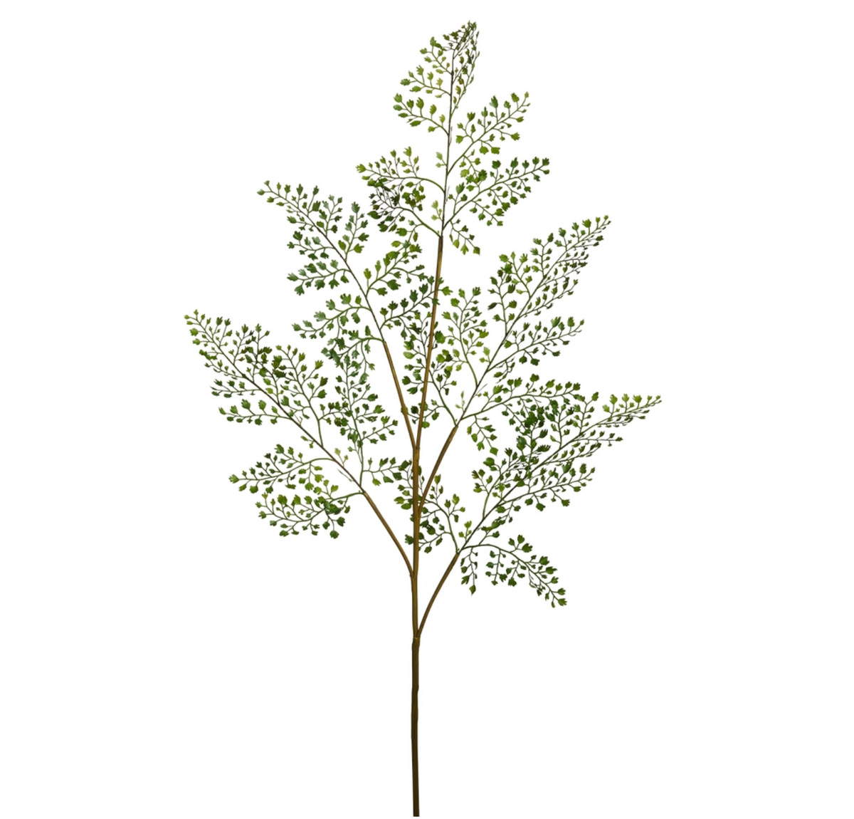 42" MAIDENHAIR FERN SPRAY