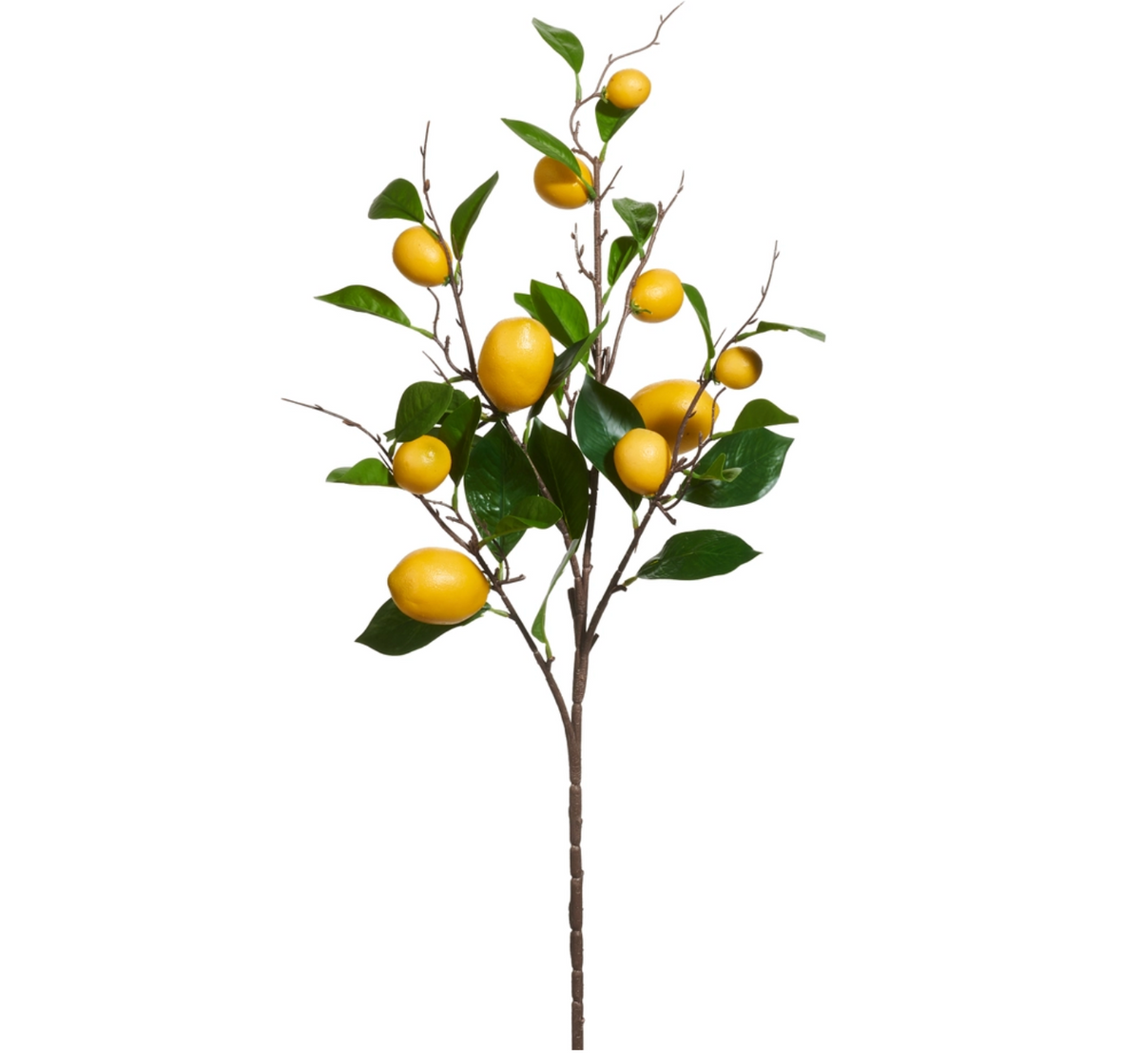 36” LEMON SPRAY