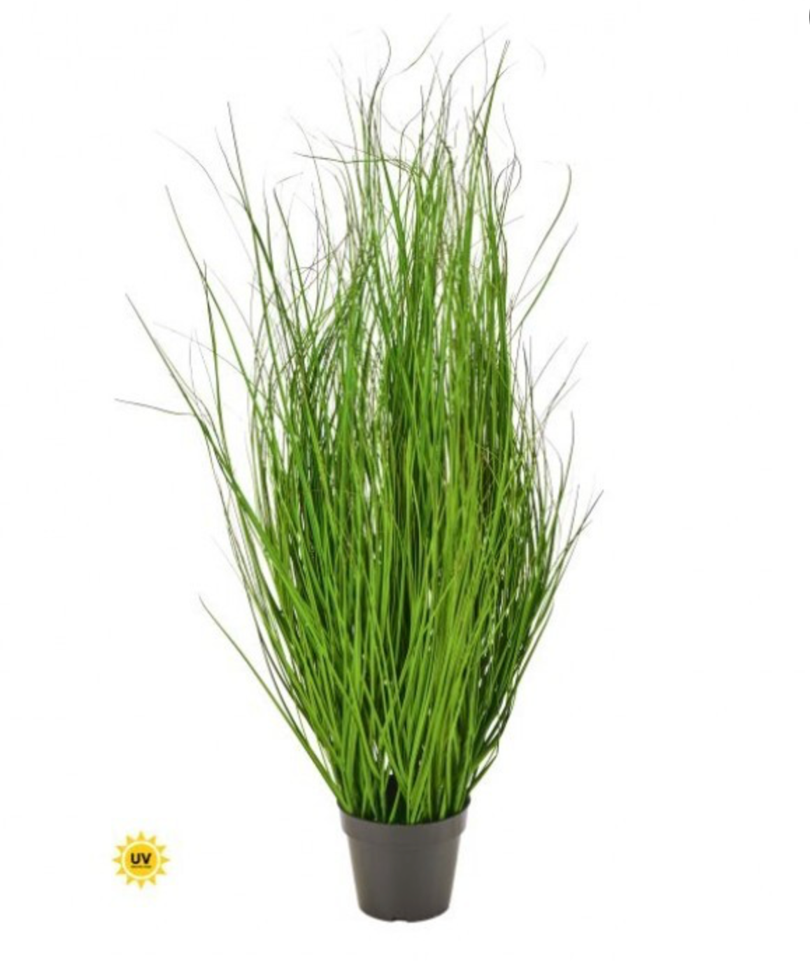 UV FOUNTAIN GRASS 48"