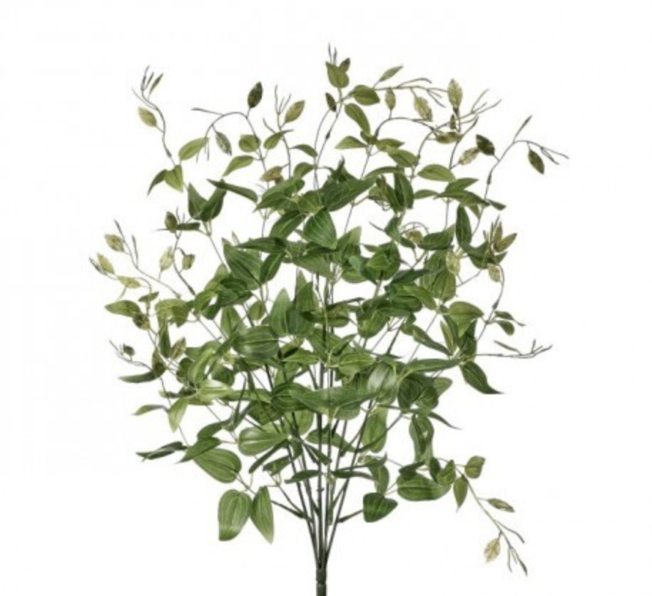 UPRIGHT TRADESCANTIA BUSH 24"