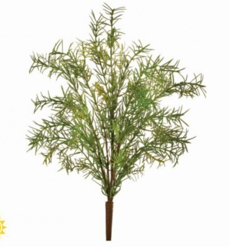 UV SPRINGERI FERN BUSH 18"