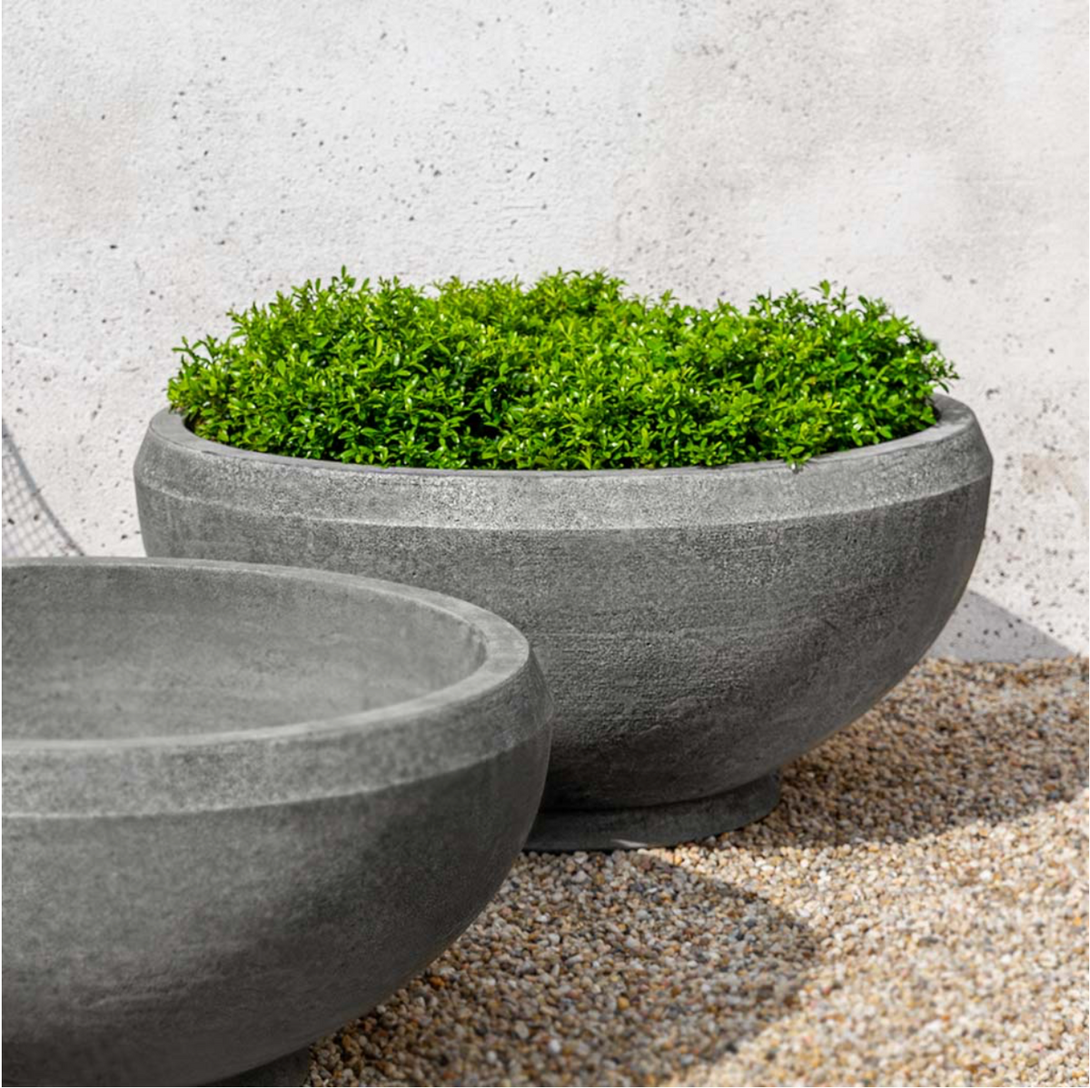 GIULIA PLANTER