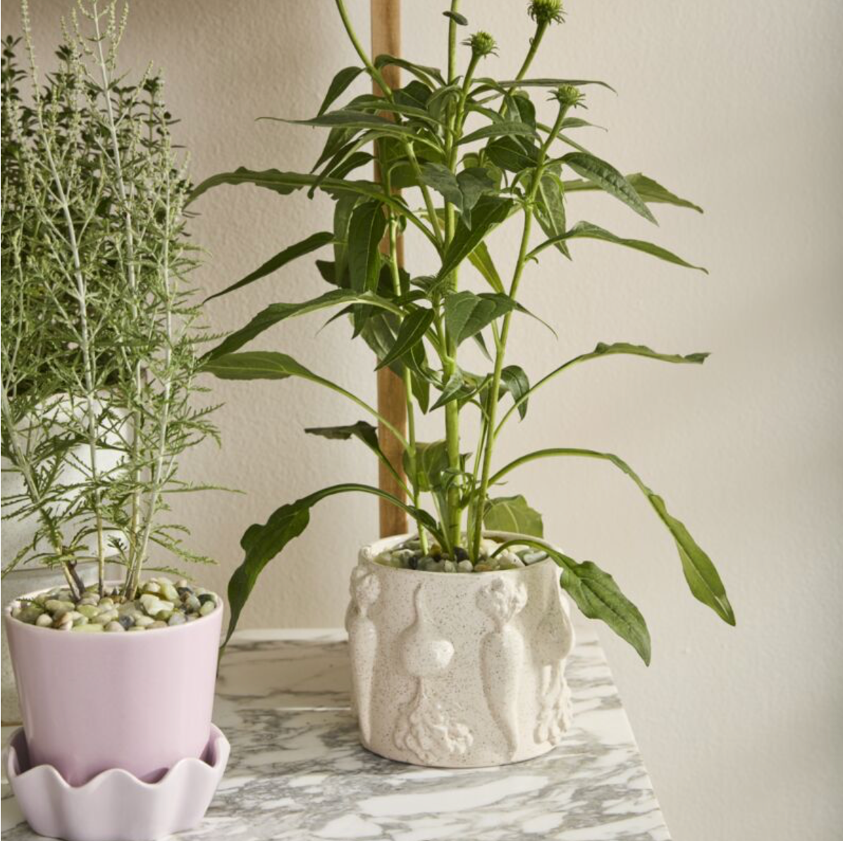 Veggie Pot