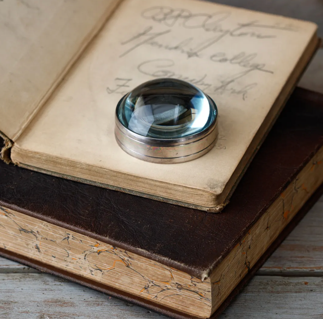 Mauvaise Vue Magnifier