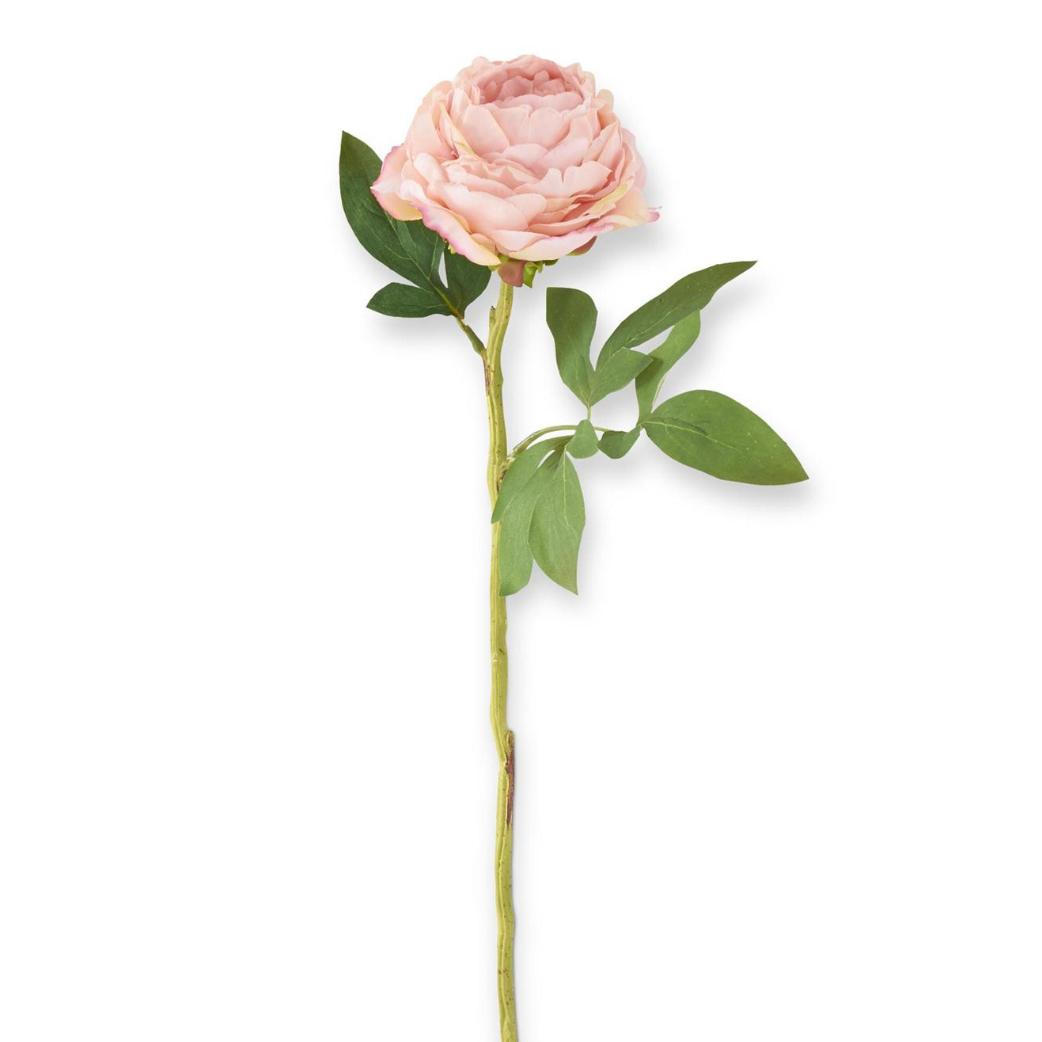 Pink Peony Stem