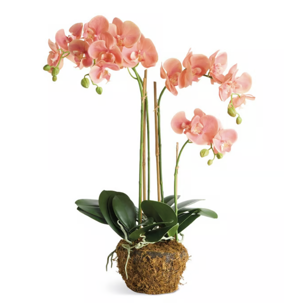 30" Peach Orchid Drop-in