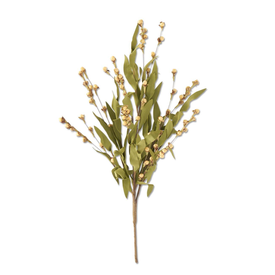 Beige Eva Berry Bush
