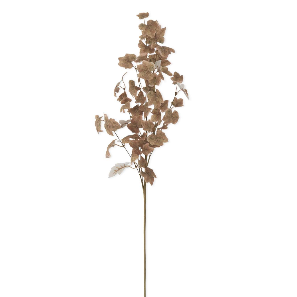 Maple Leaf Stem