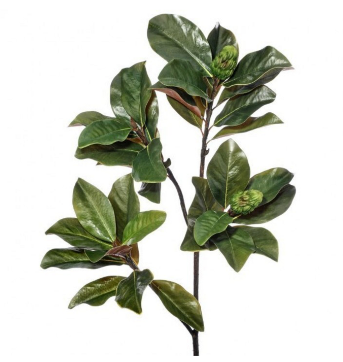 44" Grand Magnolia Branch