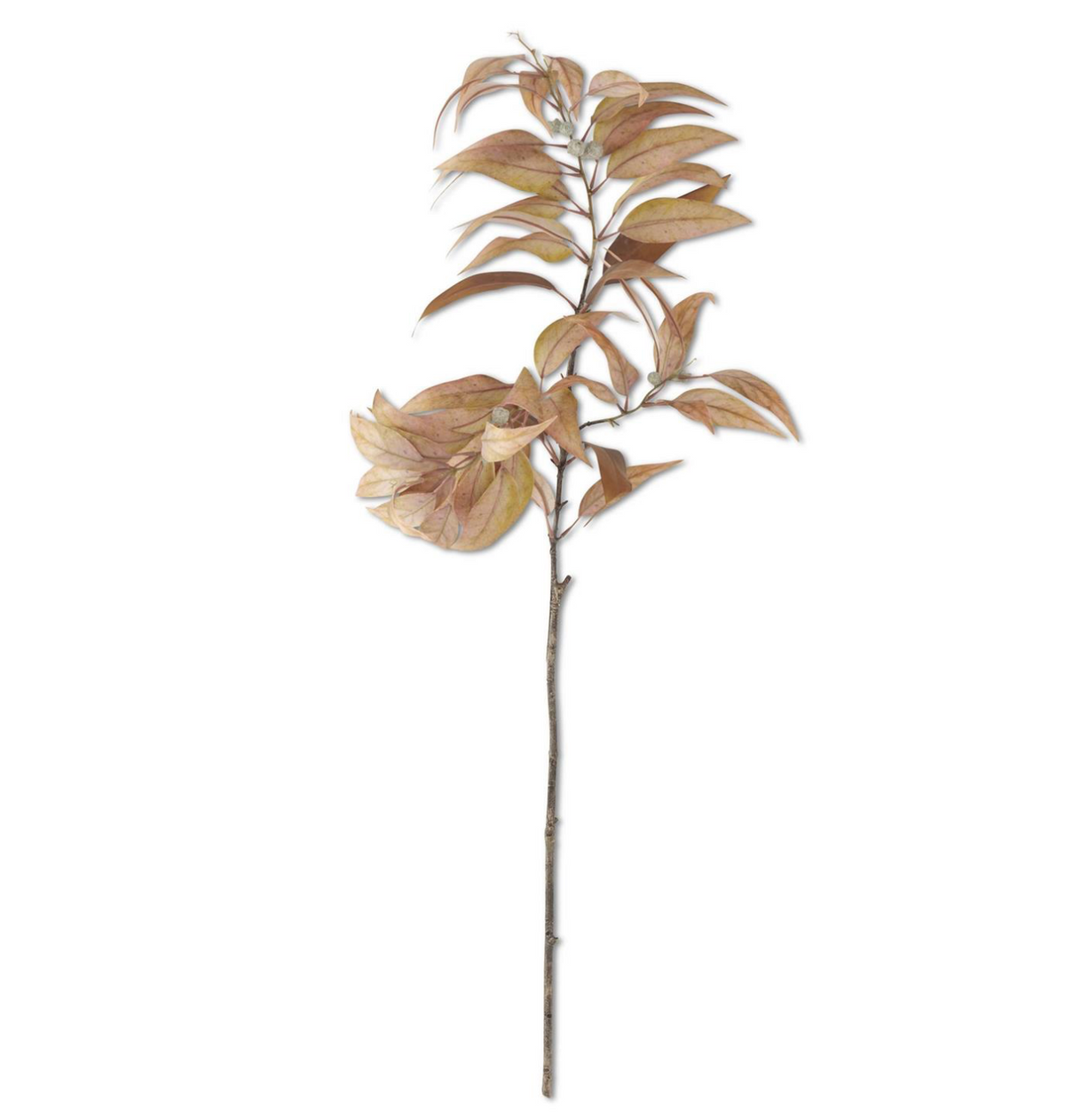 48" Yellow Eucalyptus w/Pods