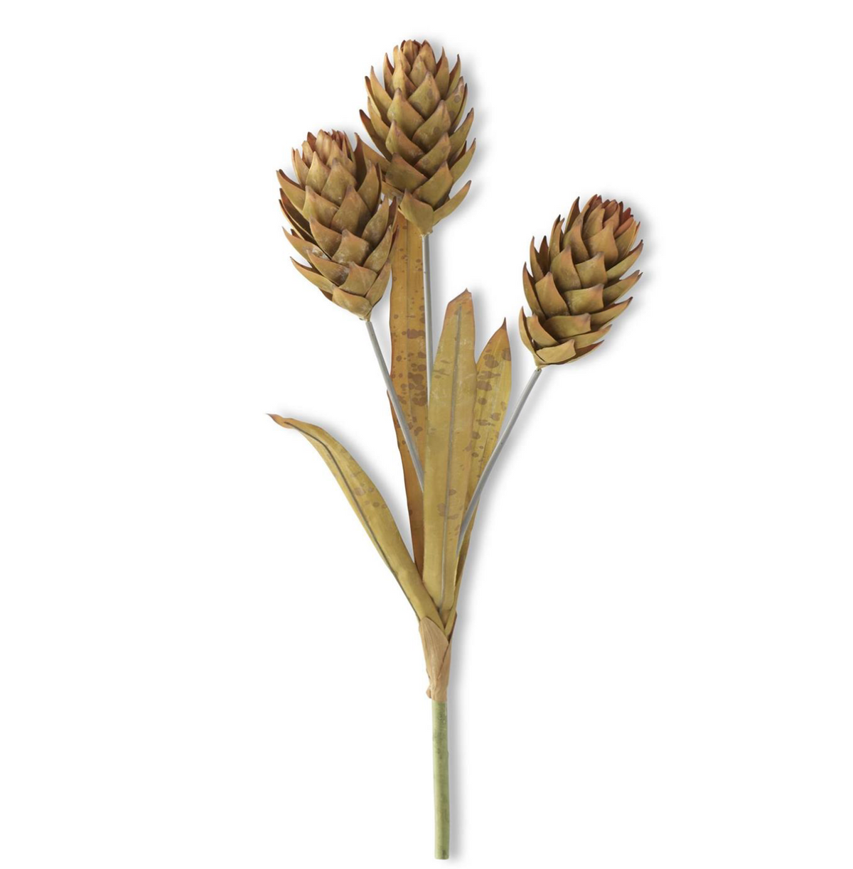 28" Ginger Triple Flower Stem