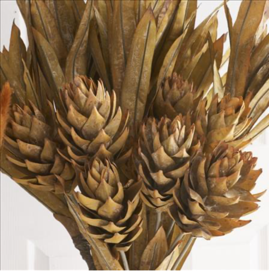 28" Ginger Triple Flower Stem