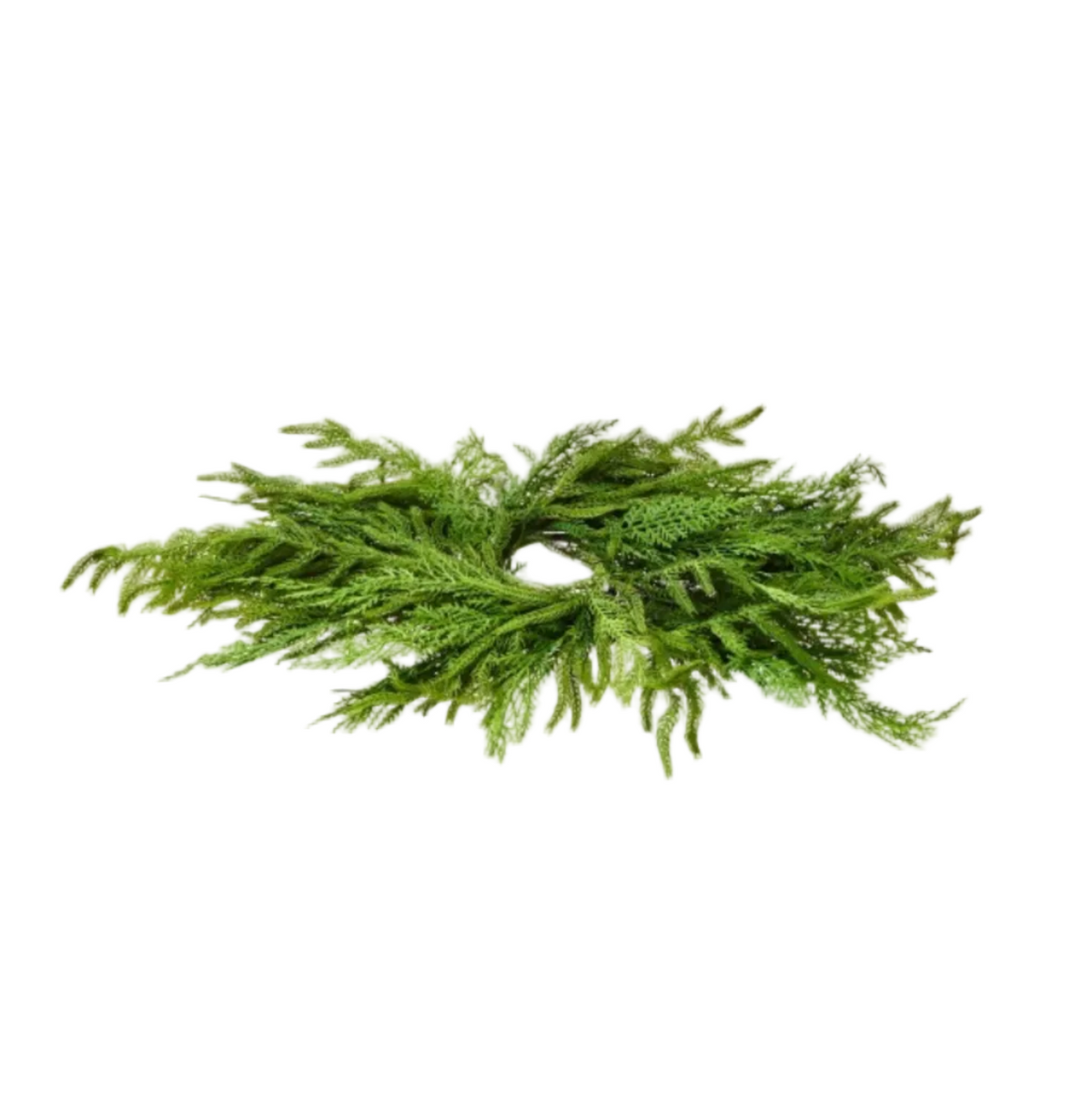 Cedar & Pine Centerpiece