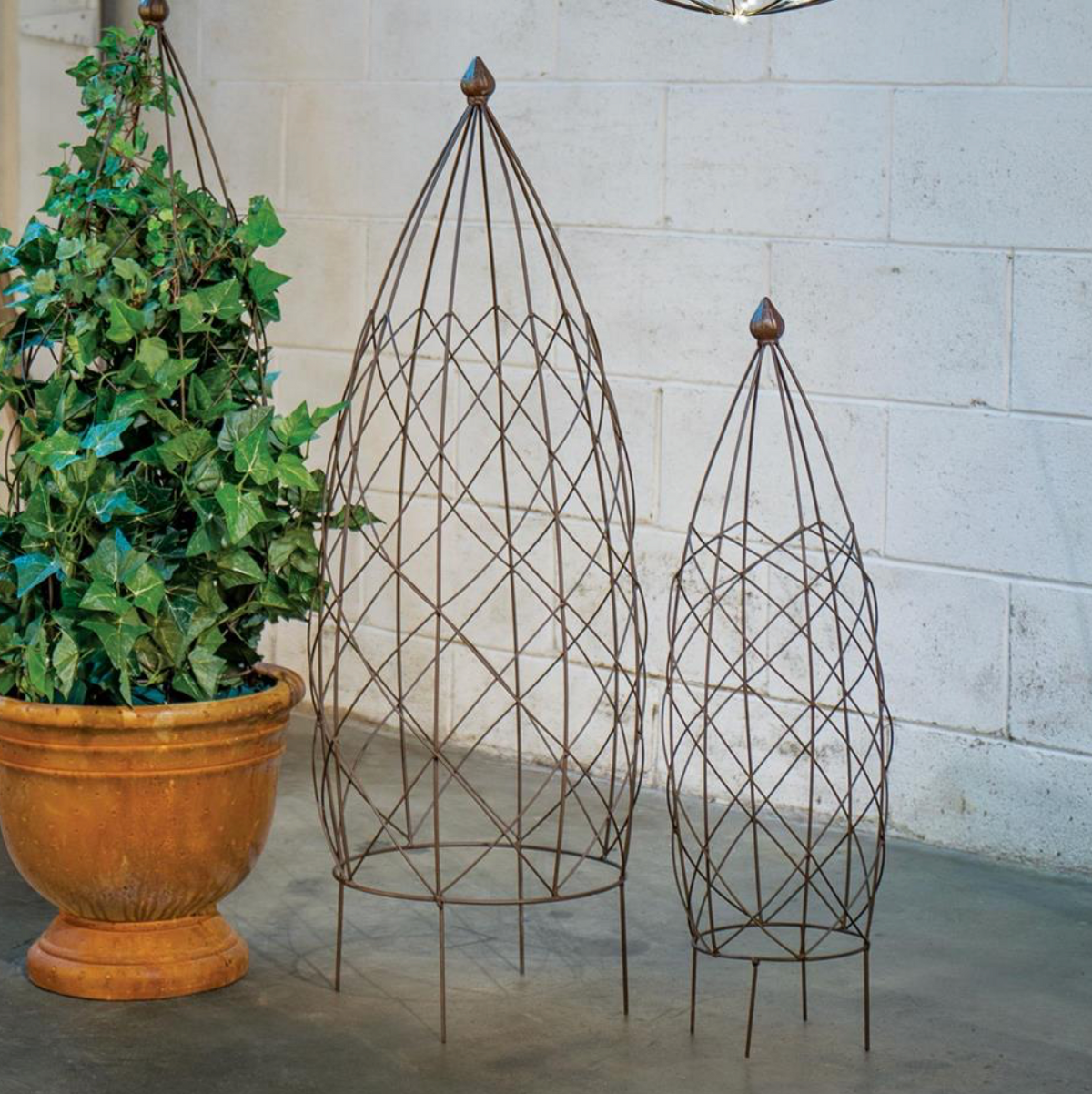 Three rustic metal garden trellis towers in graduated sizes displayed next to a potted ivy plant in a terracotta pot, set against a white painted brick wall and concrete floor.
