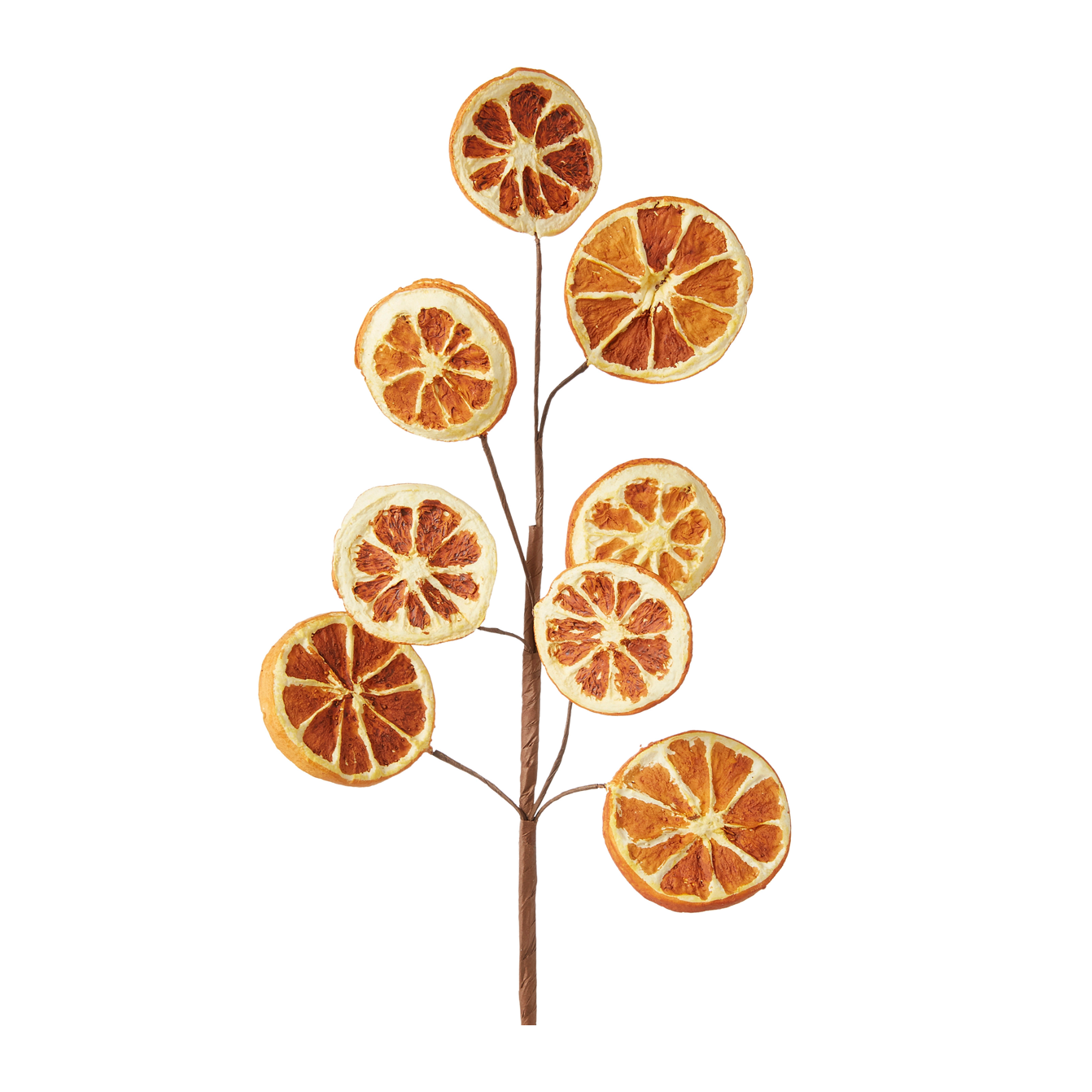 A decorative artificial branch made of dried orange slices attached to a brown stem, isolated on a white background.