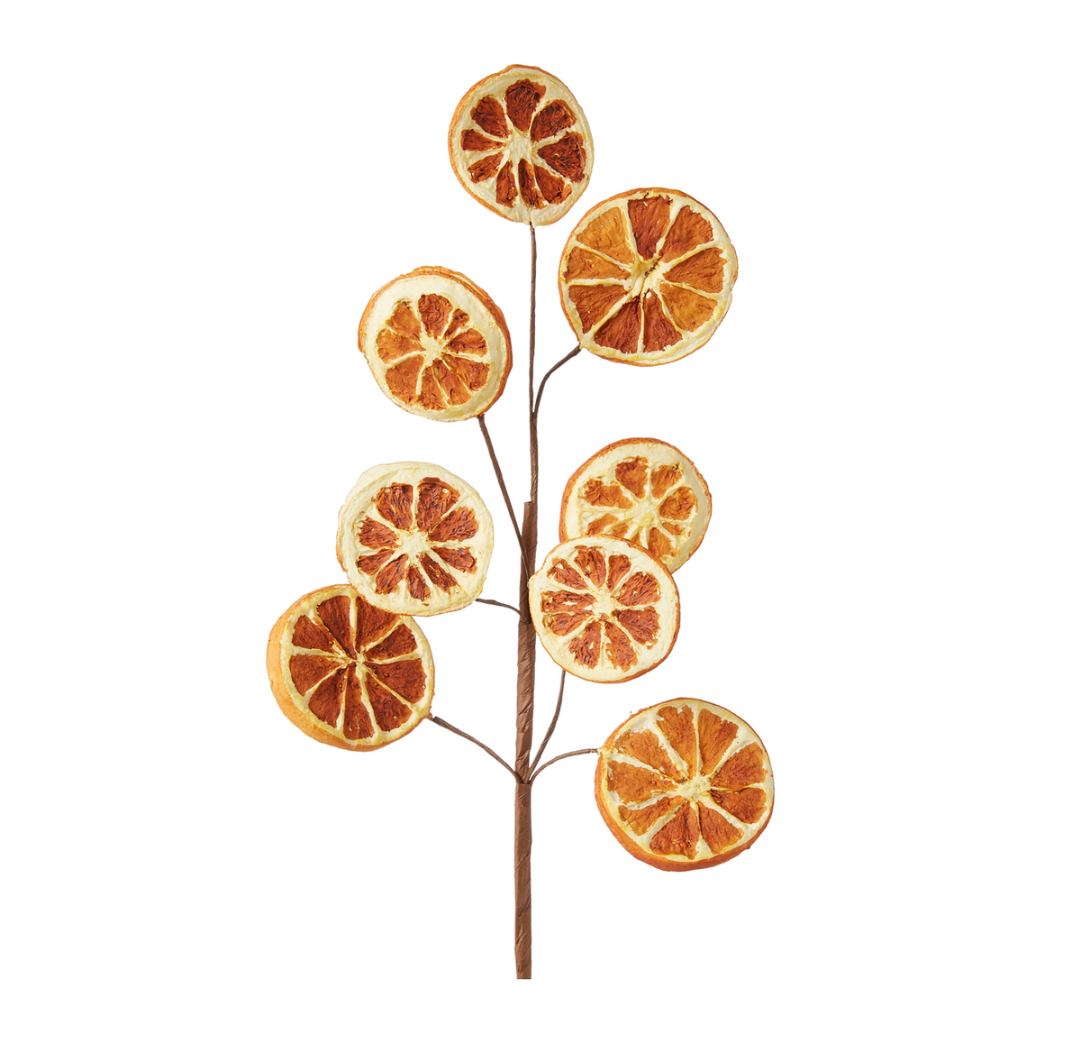 A decorative artificial branch made of dried orange slices attached to a brown stem, isolated on a white background.