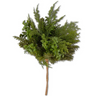 An artificial green foliage bundle with mixed pine and boxwood-style branches on a light brown stem, isolated on a white background.