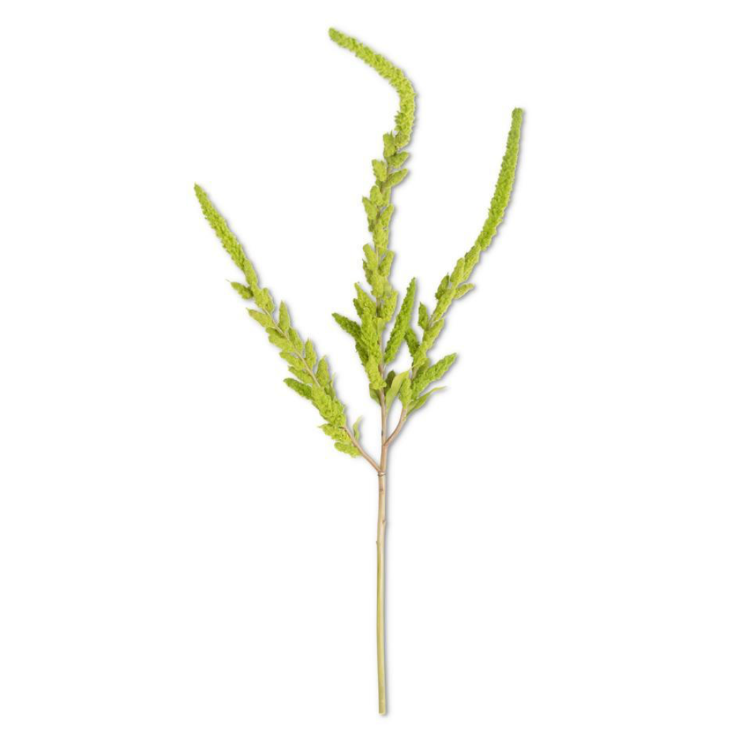 Green stem