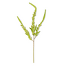 Green stem