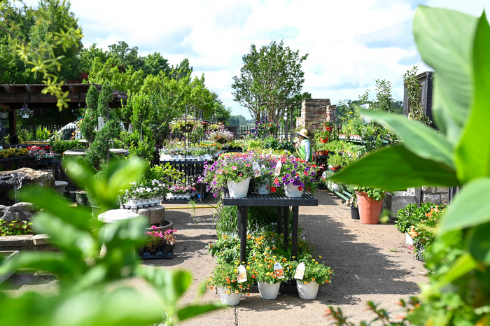 Millstone Market & Nursery | Memphis Plant Nursery & Landscaping