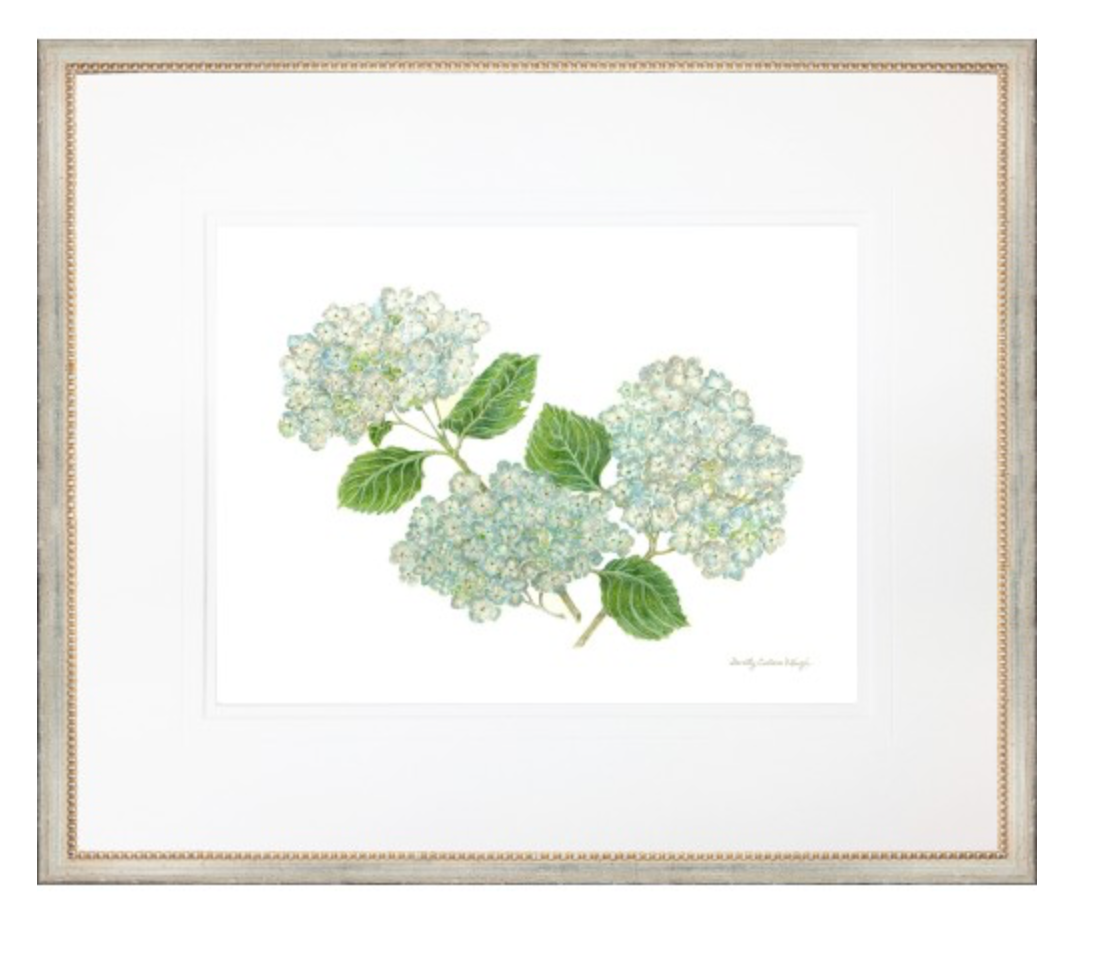 HYDRANGEA ART PRINTS