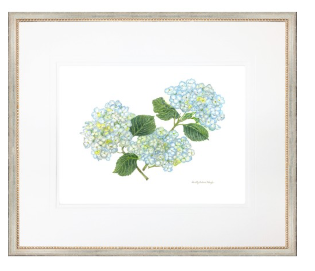 HYDRANGEA ART PRINTS