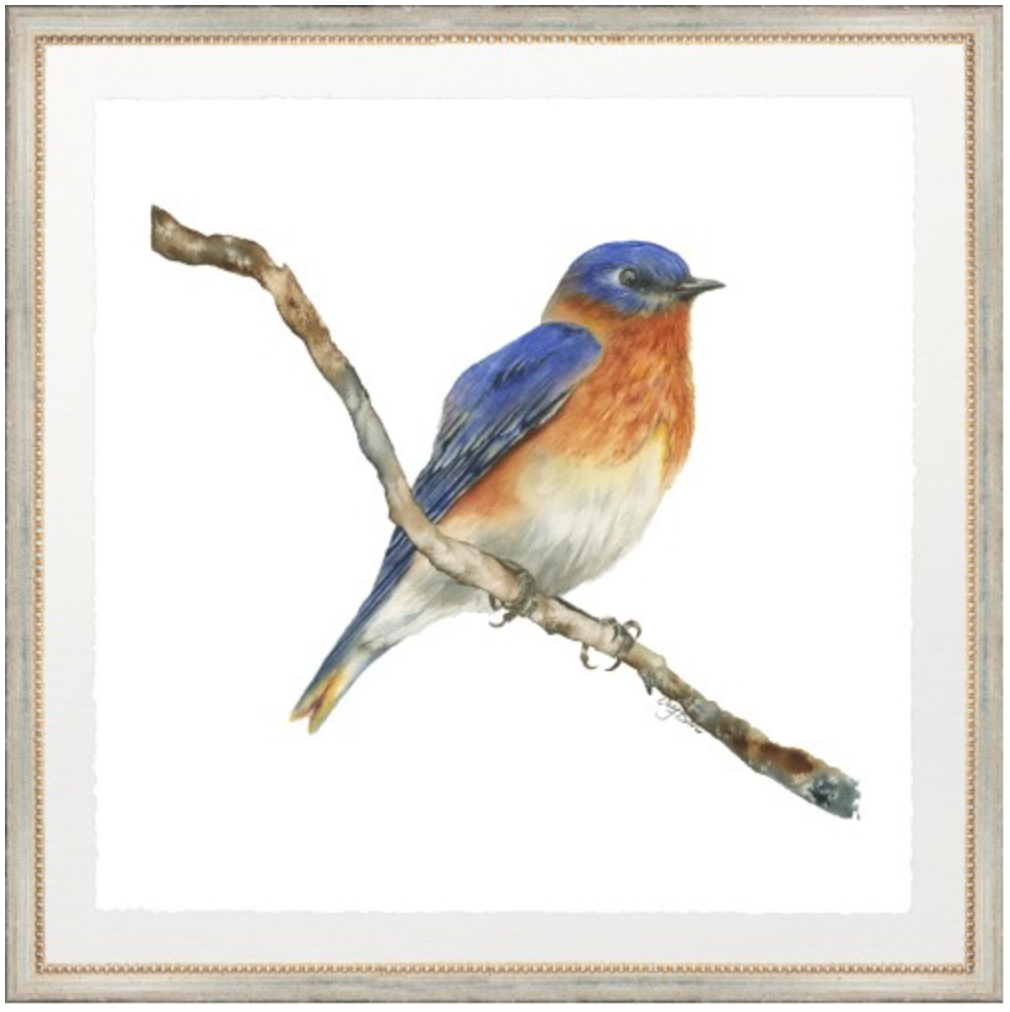 BLUE BIRD FRAMED ART PRINTS