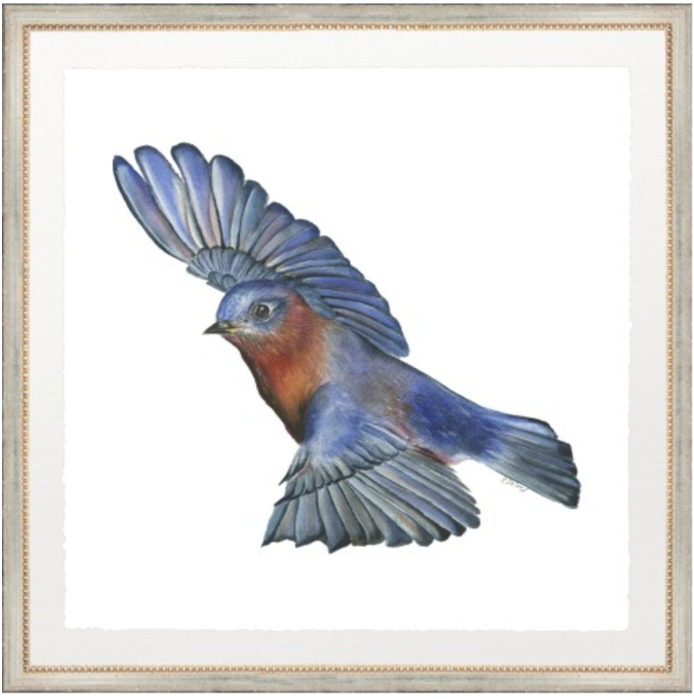 BLUE BIRD FRAMED ART PRINTS