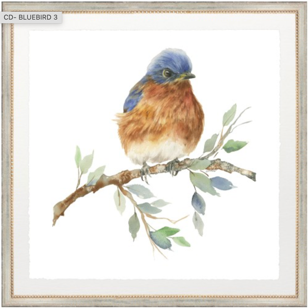 BLUE BIRD FRAMED ART PRINTS