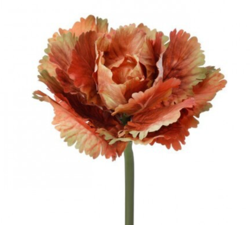 10" AUTUMN CABBAGE STEM