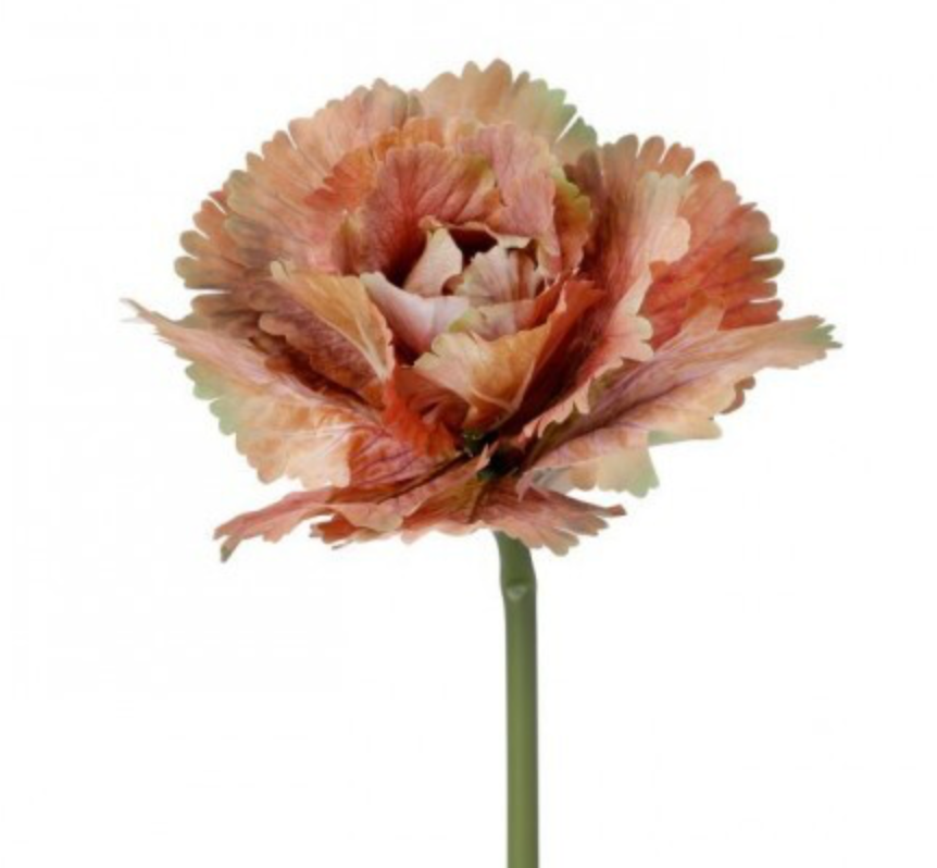 10" AUTUMN CABBAGE STEM