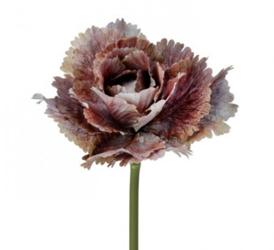 10" AUTUMN CABBAGE STEM