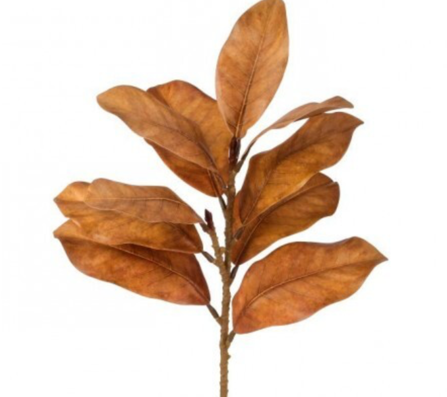 23" AUTUMNAL MAGNOLIA SPRAY