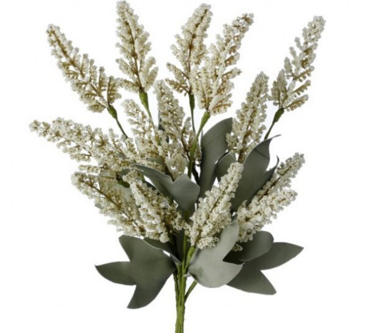18" DUNE ASTILBE BUNDLE