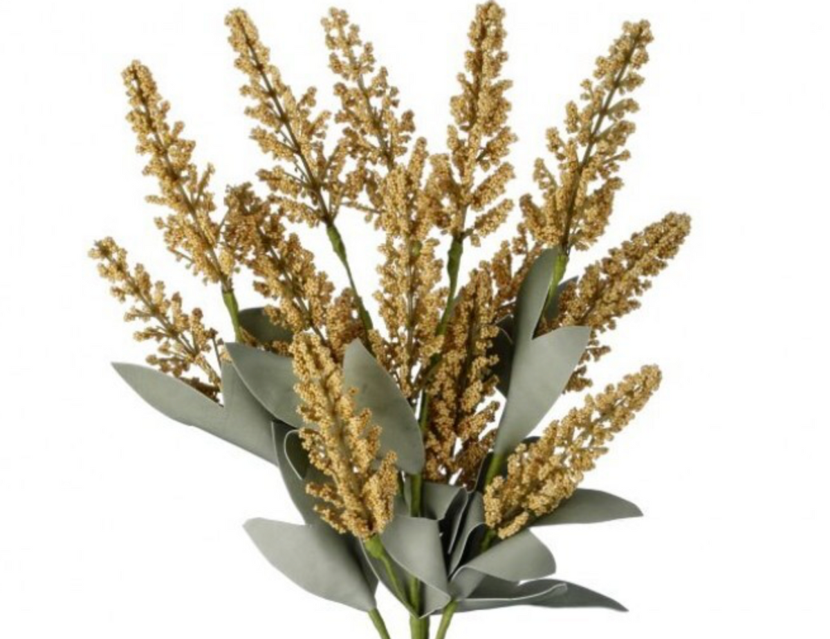 18" DUNE ASTILBE BUNDLE
