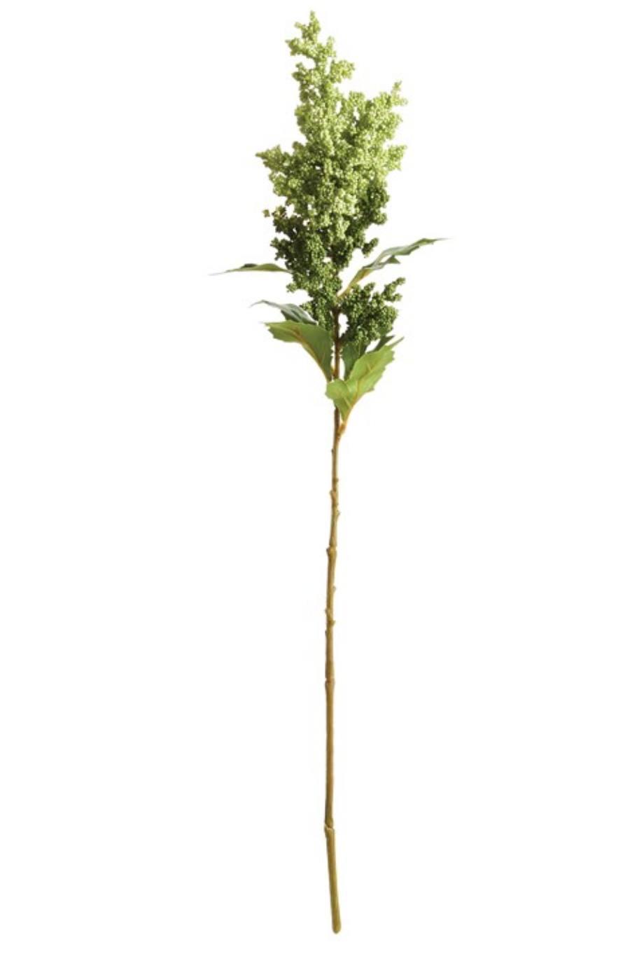 24" MINI BERRIES STEM