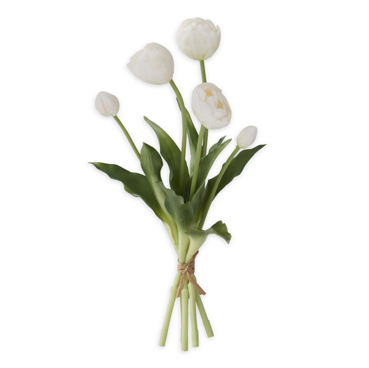 15" TULIP BUD & BLOOM-UV