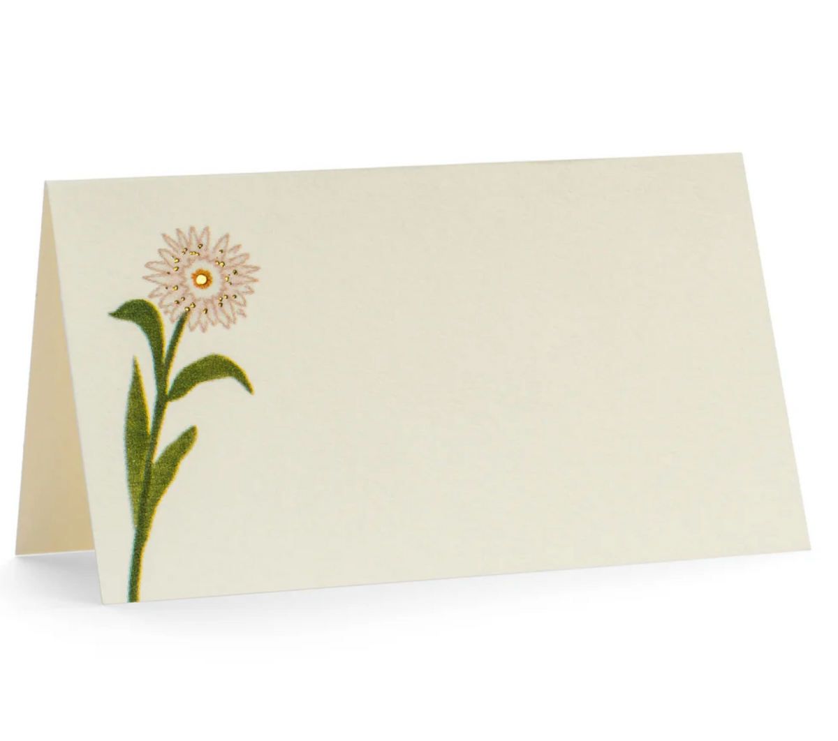 FLORAL COLLECTION PLACECARDS