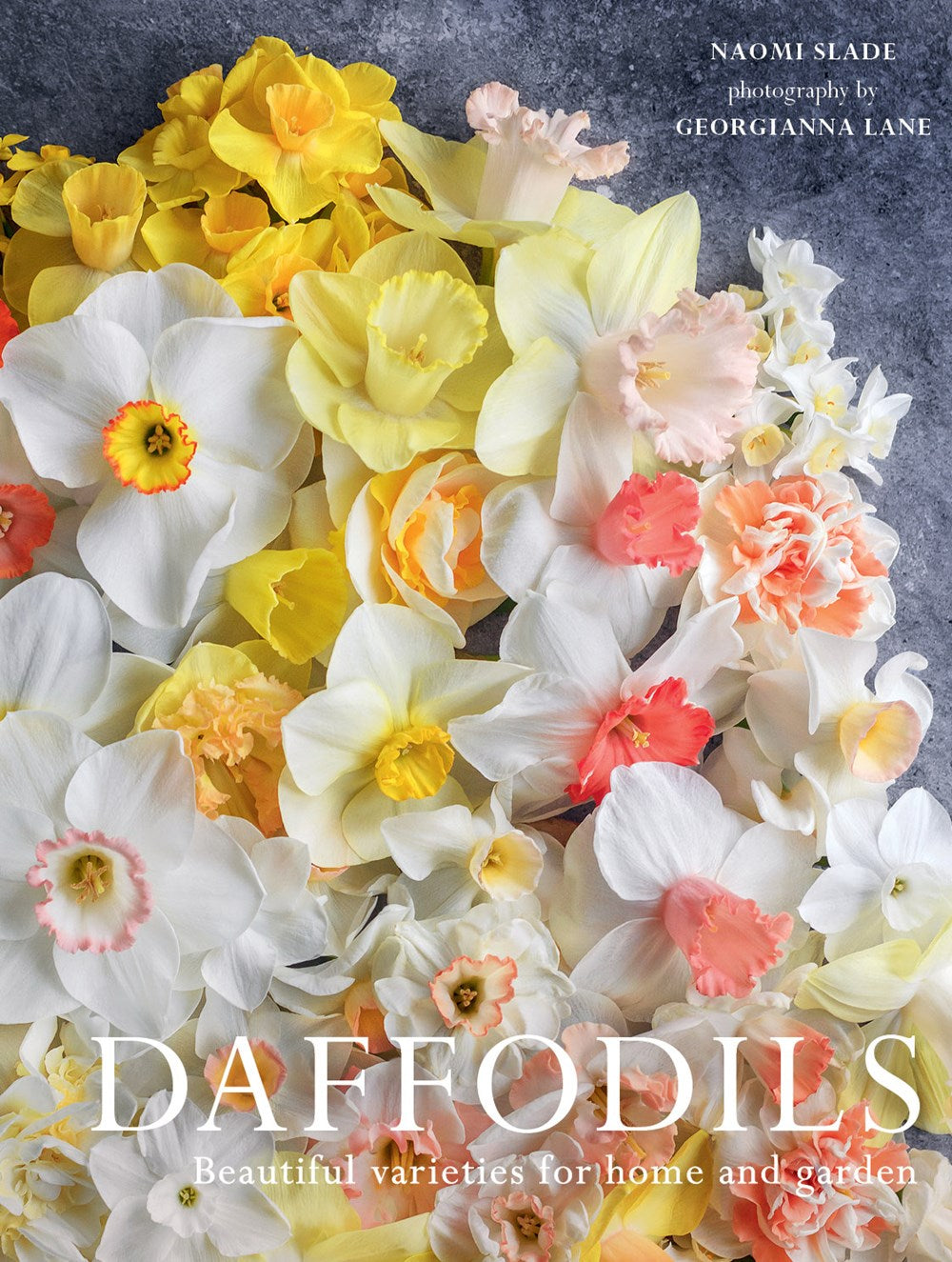 DAFFODILS: BEAUTIFUL VARIETIES FOR HOME AND GARDEN
