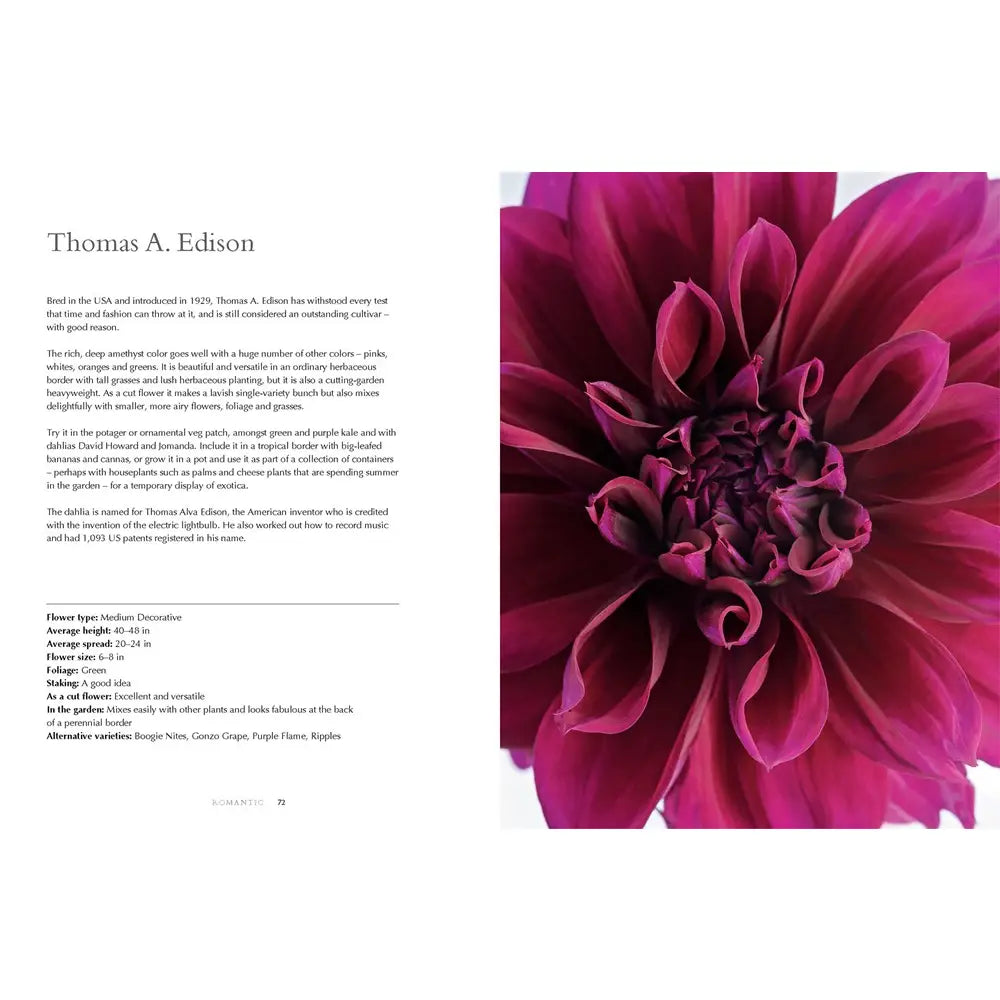 DAHLIAS: BEAUTIFUL VARIETIES FOR HOME & GARDEN