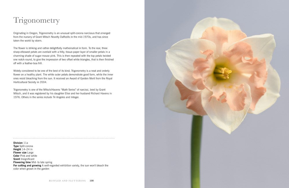 DAFFODILS: BEAUTIFUL VARIETIES FOR HOME AND GARDEN